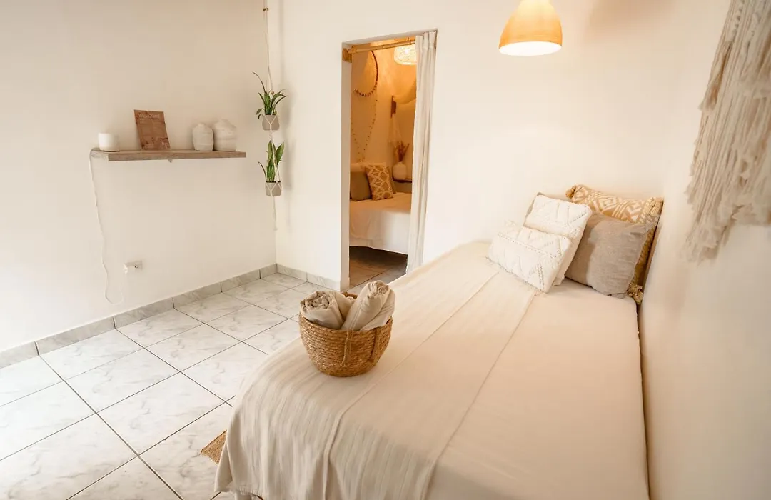 Tribe Boutique Hotel - Adults Only-1